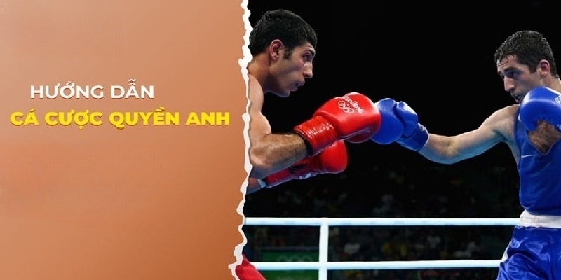 Những chiến lược cá cược Boxing từ những cao thủ hàng đầu